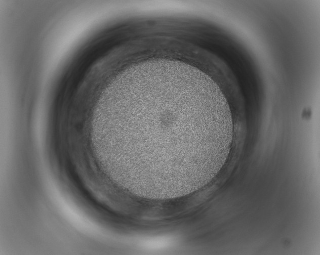 X0000112380765200909101346