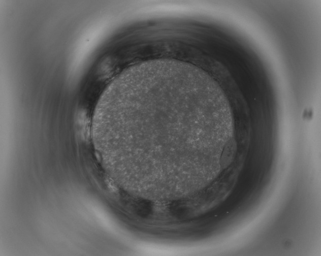 X0000112380766200909101346