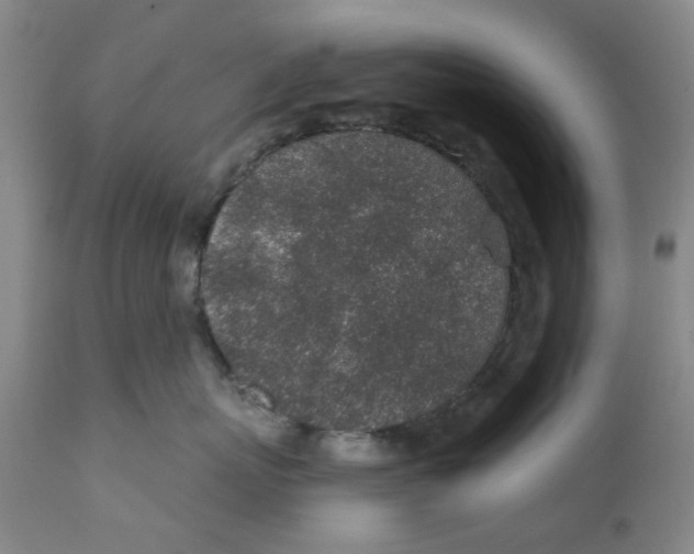 X0000112380767200909101346