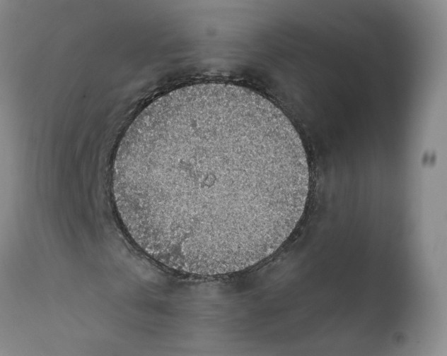 X0000112380769200909101345