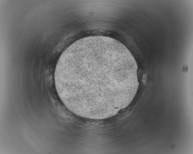 X0000112380771200909101345