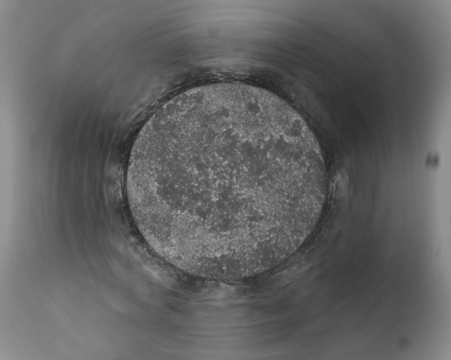 X0000112380772200909101345