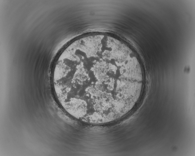 X0000112380779200909101345