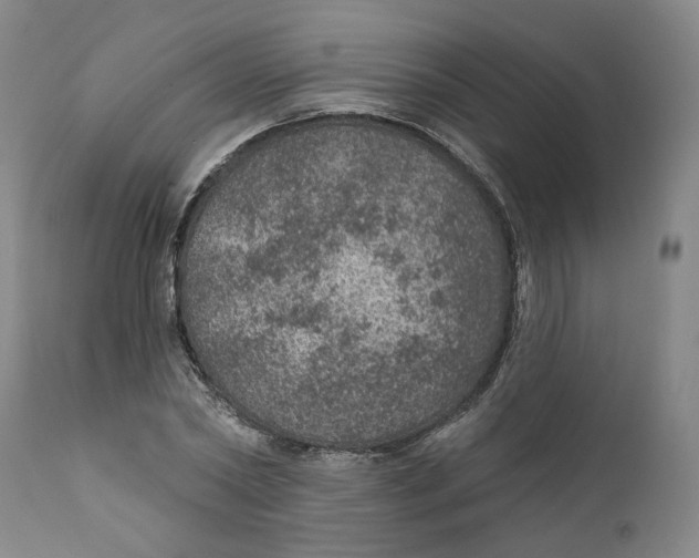 X0000112380782200909101345