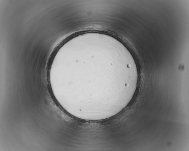 X0000112380784200909101345