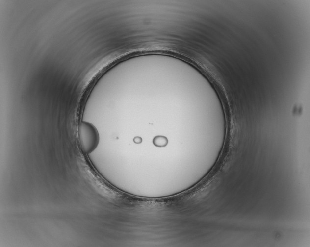 X0000112380789200909101345