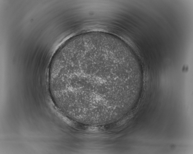 X0000112380790200909101345