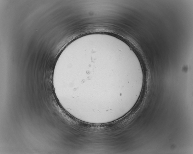 X0000112380793200909101345