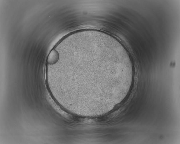 X0000112380796200909101345