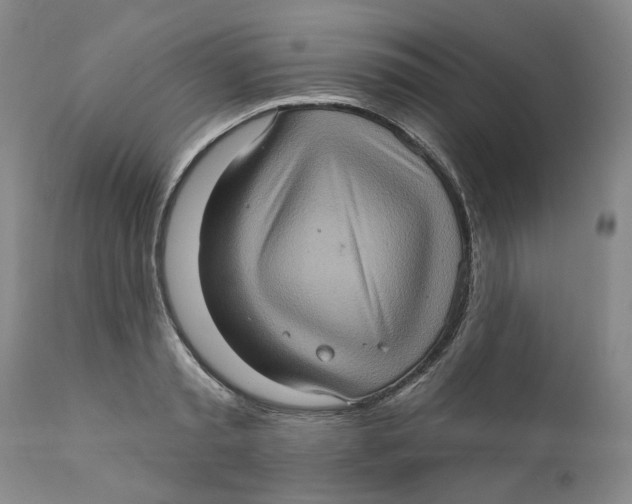 X0000112380797200909101345