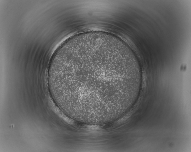 X0000112380798200909101345