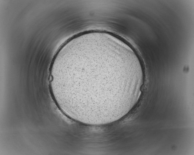 X0000112380799200909101345