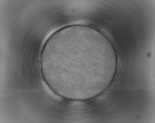 X0000112380800200909101345