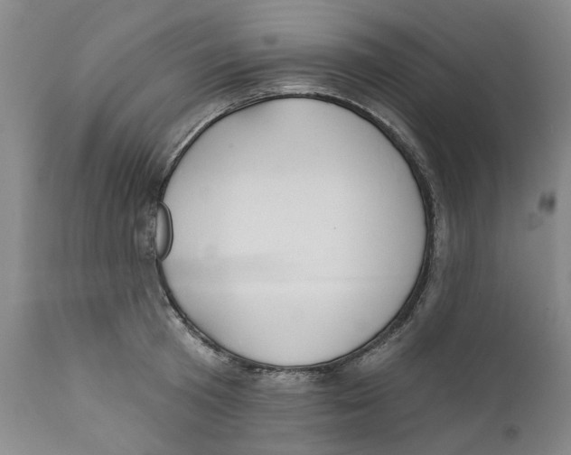 X0000112380801200909101345