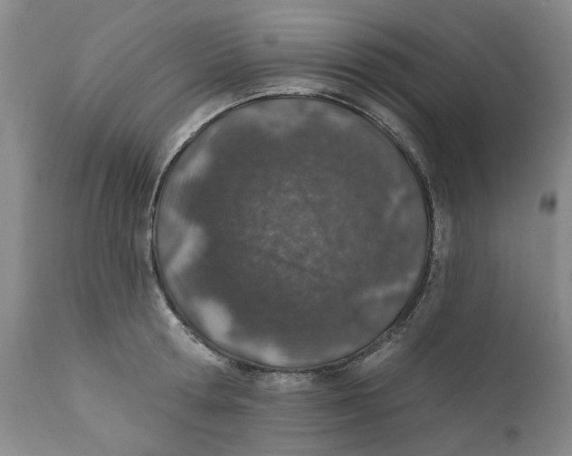 X0000112380802200909101345