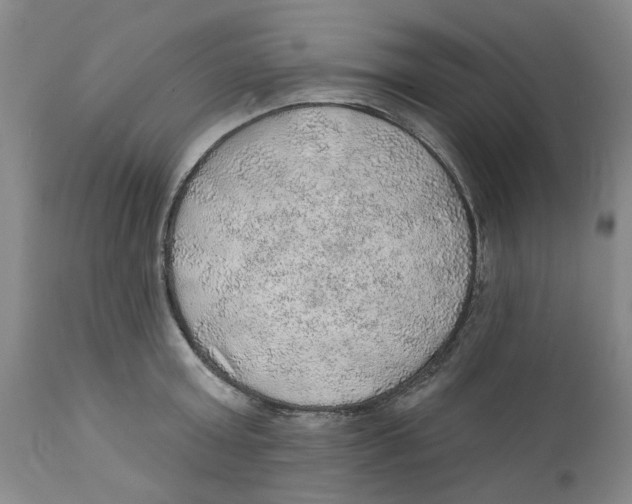 X0000112380803200909101345