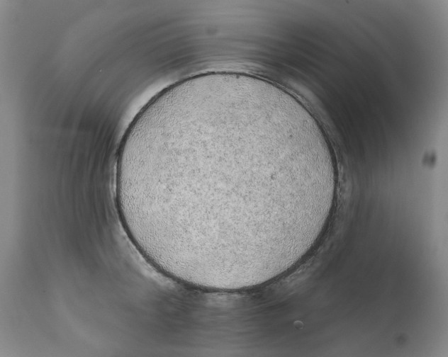 X0000112380804200909101345