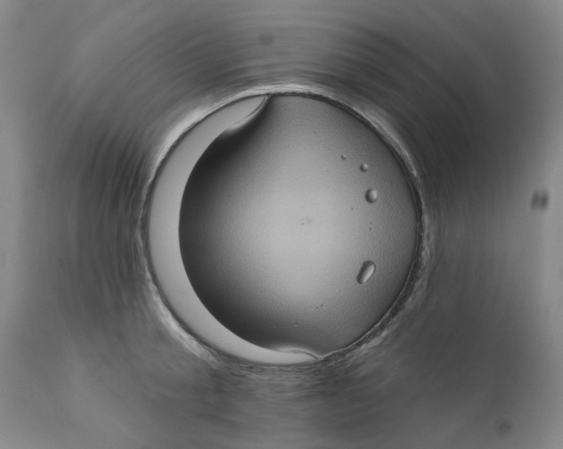 X0000112380805200909101345