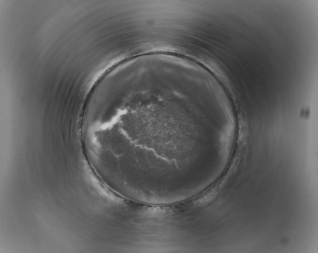 X0000112380806200909101345