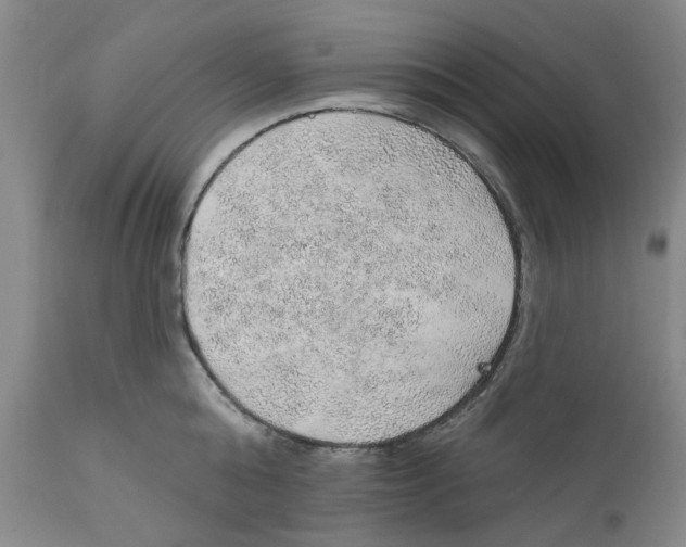 X0000112380808200909101345