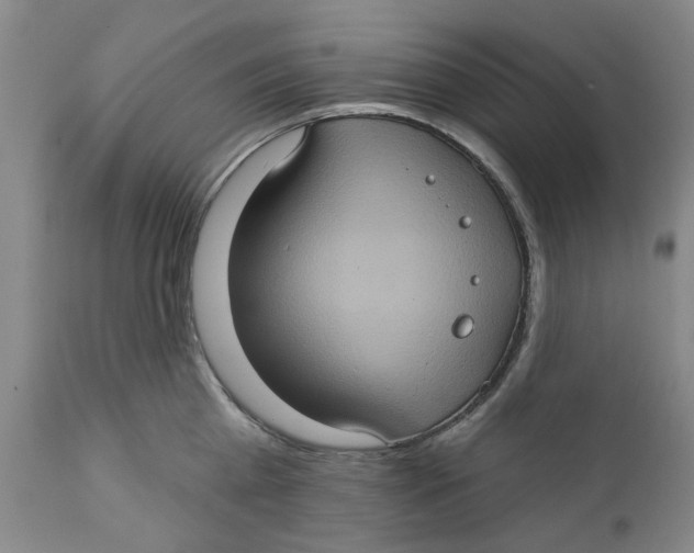 X0000112380809200909101345