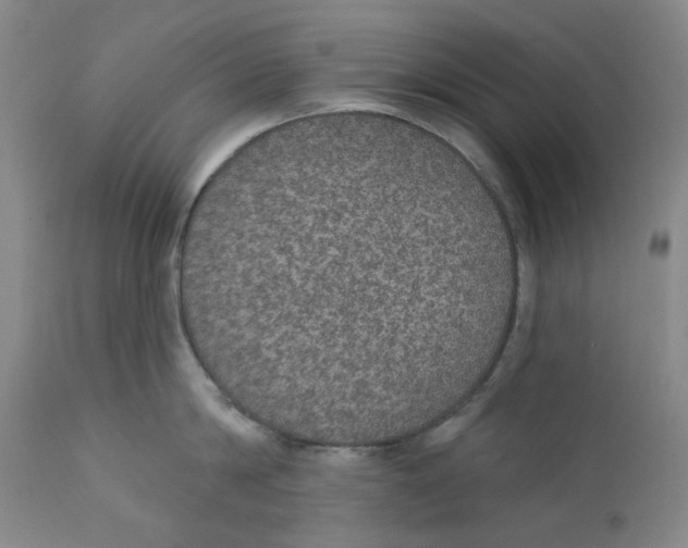 X0000112380814200909101345