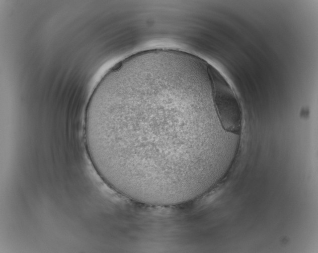 X0000112380815200909101345