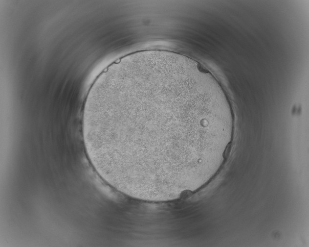 X0000112380816200909101345