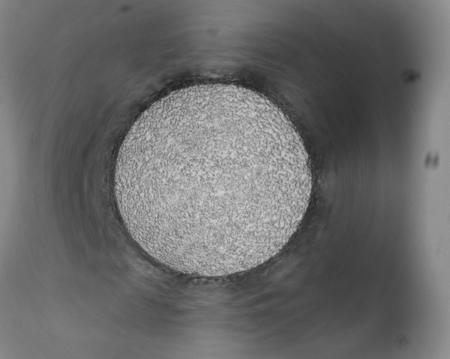 X0000112380817200909101344