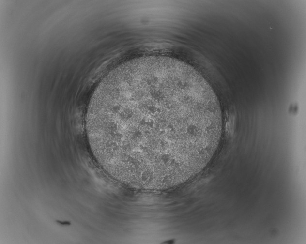 X0000112380819200909101344