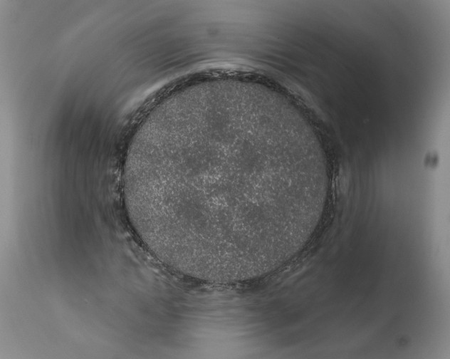 X0000112380822200909101344