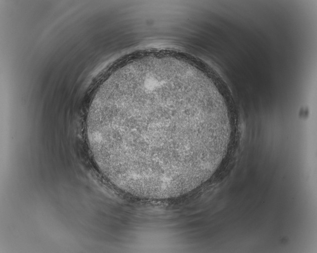 X0000112380823200909101344