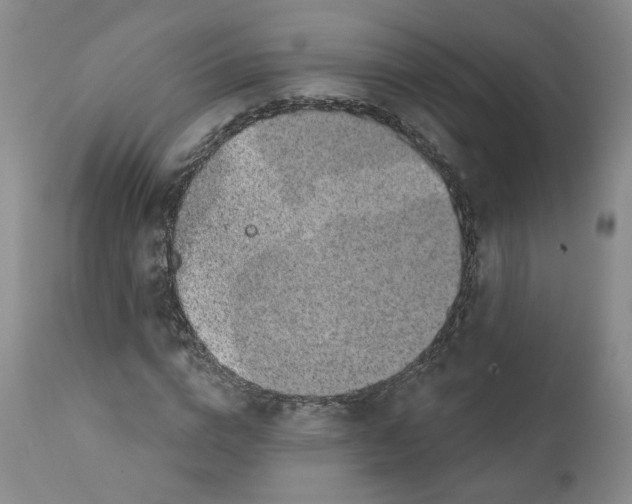 X0000112380824200909101344