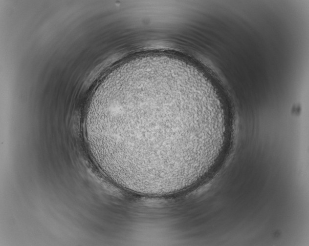 X0000112380825200909101344