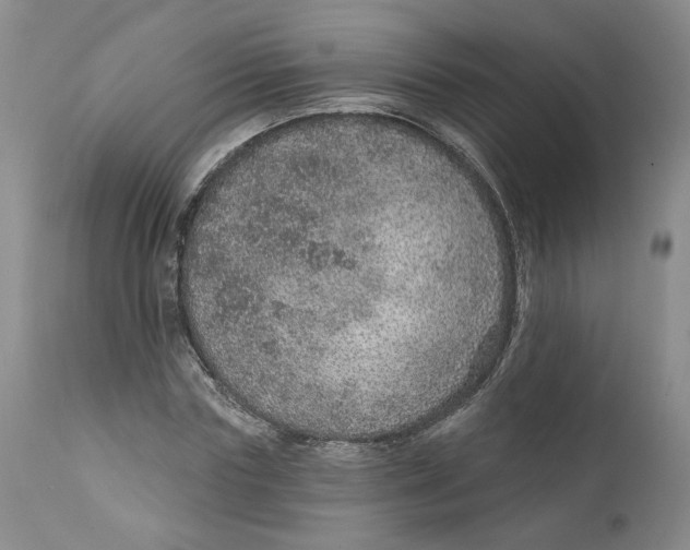 X0000112380827200909101344