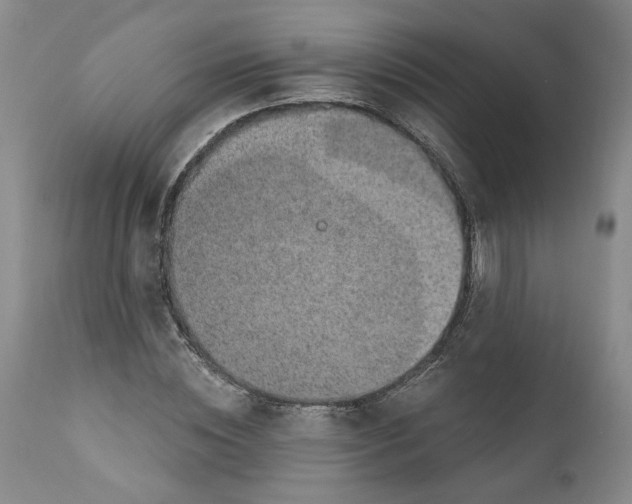 X0000112380828200909101344