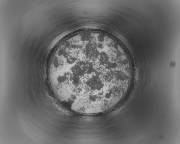 X0000112380829200909101344