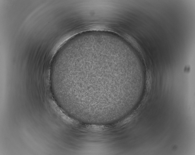 X0000112380831200909101344