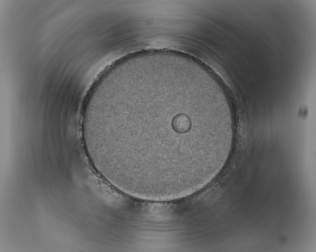 X0000112380832200909101344