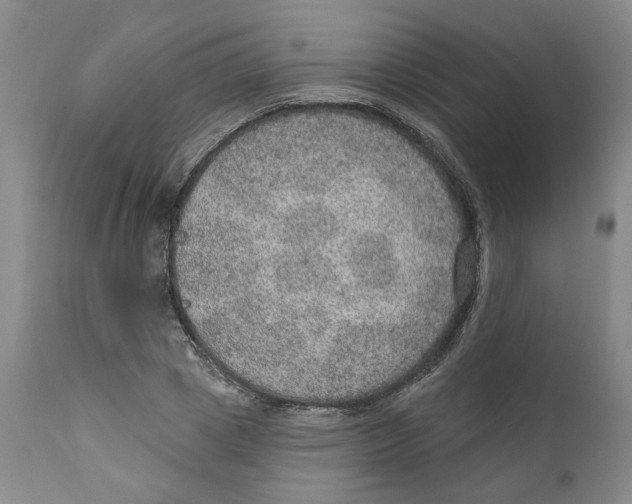 X0000112380833200909101344