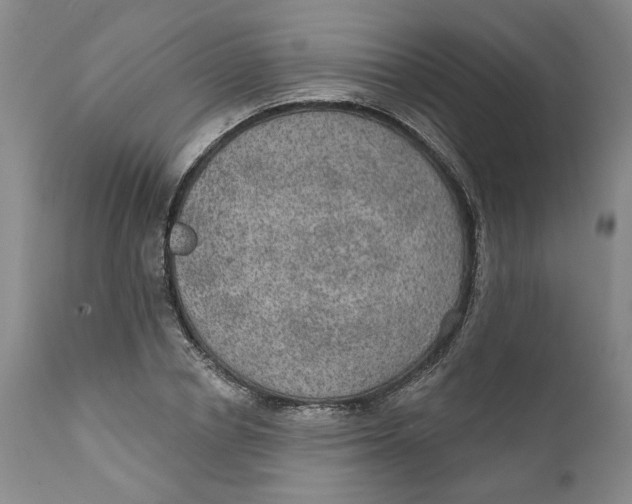 X0000112380834200909101344