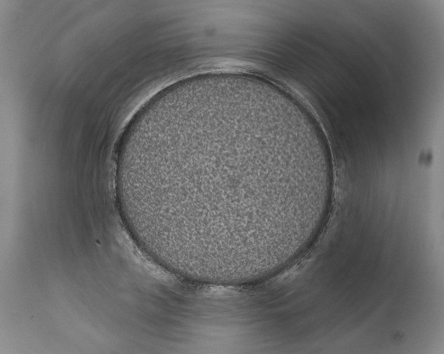 X0000112380835200909101344