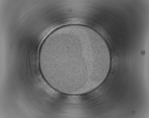 X0000112380836200909101344