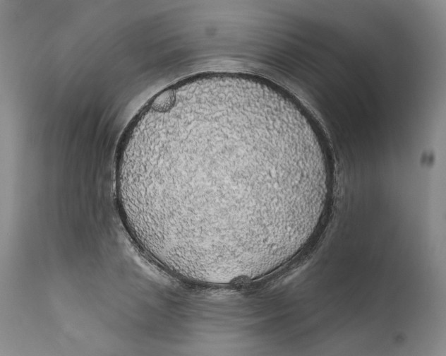 X0000112380837200909101344