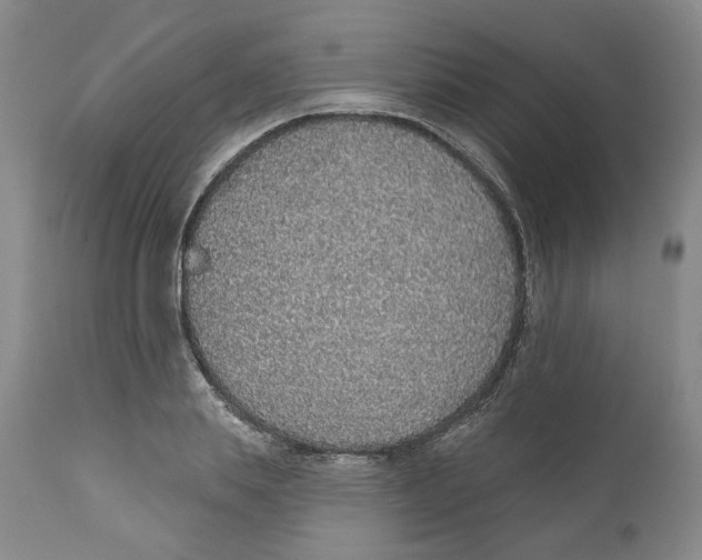 X0000112380839200909101344