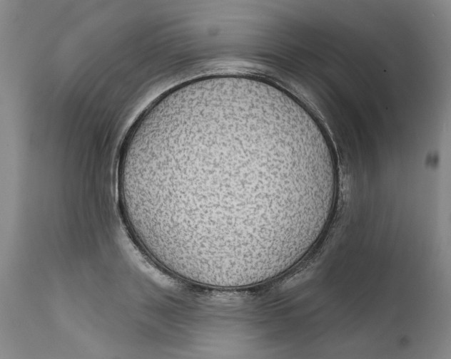 X0000112380843200909101344