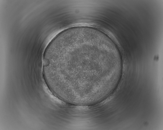 X0000112380844200909101344