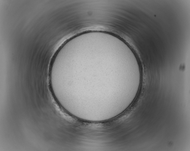 X0000112380845200909101344