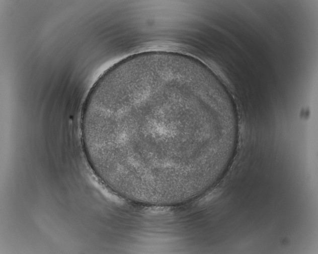 X0000112380846200909101344