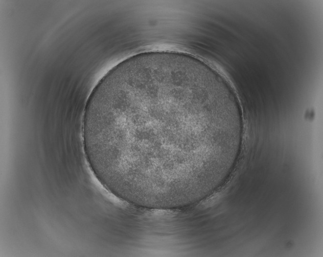 X0000112380847200909101344